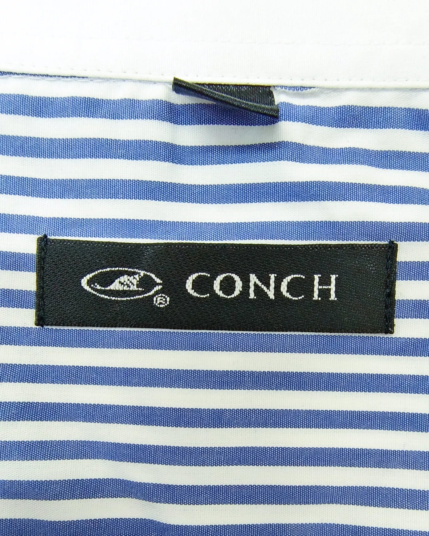 Conch - [L]